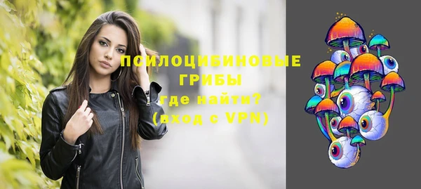 сатива Тольятти