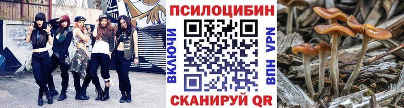 Галлюциногенные грибы Magic Shrooms  Первоуральск 