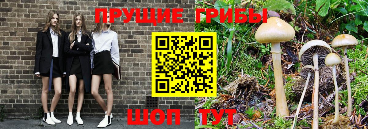 Галлюциногенные грибы Psilocybine cubensis  Вход с VPN  Первоуральск 